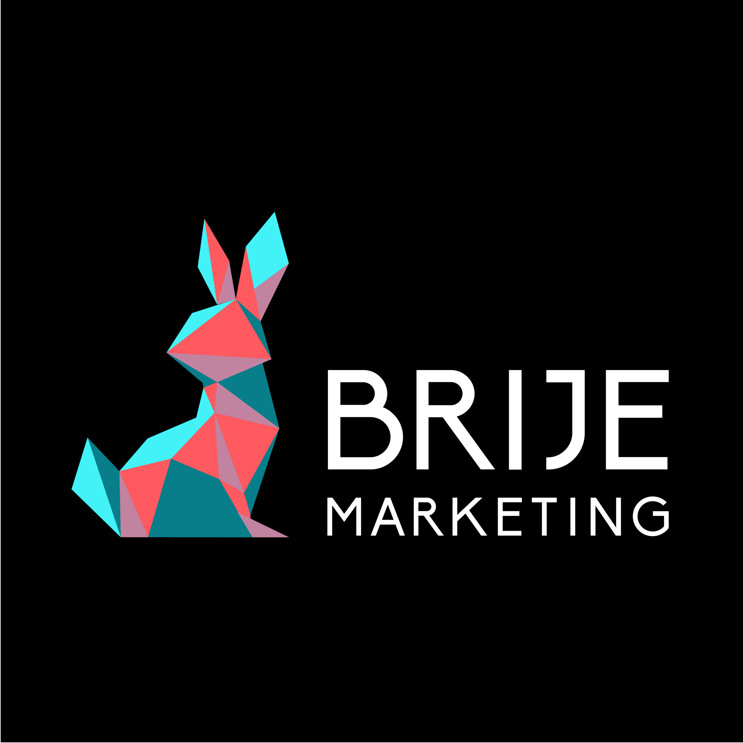 Brije Marketing